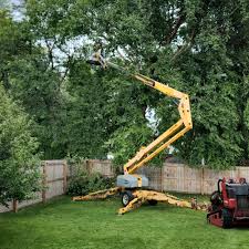 Lawn Maintenance Plans in Pine Island, MN